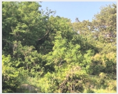  2025Ÿ��462 ��� ������ ������ ������ 559      ����(��1)���