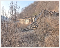  2025Ÿ10063  籺 û Ÿ 397-1      ()