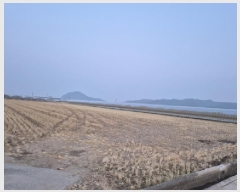  2025Ÿ��10087 ��� ������ ���ظ� ������ 544-1      ����(��1)���