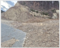  2025Ÿ��10162 ��� ������ ������ ������ 732-7      ����(�Ӿ�)���