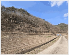  2025Ÿ10164  籺 û  2      (Ӿ)