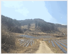  2025Ÿ10164  籺 û  2      (Ӿ)