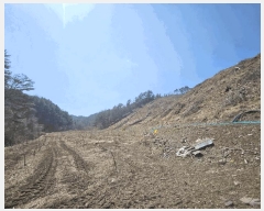  2025Ÿ10164  籺 û  2      (Ӿ)