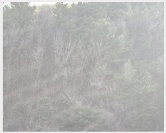  2025Ÿ��10168 ��� ������ �ݰ��۸� �ұ��� 679      ����(��1)���