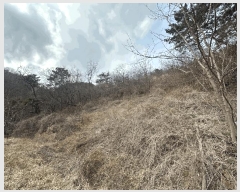  2025Ÿ��10184  �����