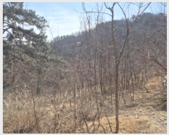  2025Ÿ��10184  �����