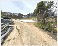  2025Ÿ��10188 ��� ���籺 ������ ���긮 245-1      ����(��)���