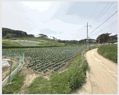  2025Ÿ��10188 ��� ���籺 ������ ���긮 245-1      ����(��)���