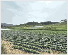  2025Ÿ��10188 ��� ���籺 ������ ���긮 245-1      ����(��)���