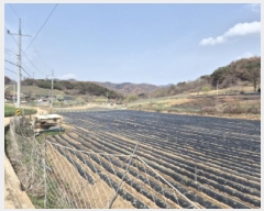  2025Ÿ��10188 ��� ���籺 ������ ���긮 245-1      ����(��)���