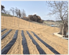  2025Ÿ��10188 ��� ���籺 ������ ���긮 245-1      ����(��)���