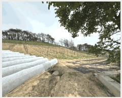  2025Ÿ��10188 ��� ���籺 ������ ���긮 245-1      ����(��)���