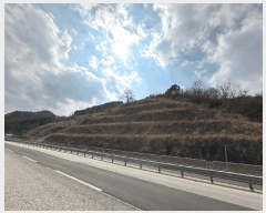  2025Ÿ��10194 ��� ������ �⼺�� ���縮 ��3-1      ����(�Ӿ�)���