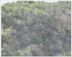  2025Ÿ��10194 ��� ������ �⼺�� ���縮 ��3-1      ����(�Ӿ�)���