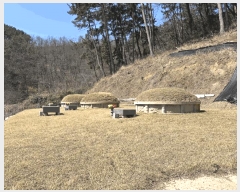  2025Ÿ��10206  �Ӿ߰��