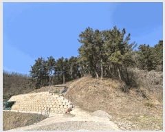  2025Ÿ��10206  �Ӿ߰��