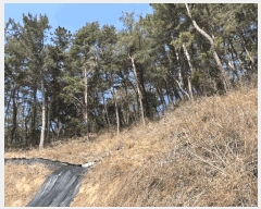  2025Ÿ��10206  �Ӿ߰��