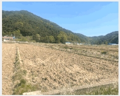  2025Ÿ��10216 ��� ������ ������ �а 1137      ����(��)���