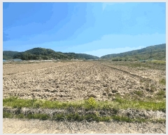  2025Ÿ��10216 ��� ������ ������ �а 1137      ����(��)���