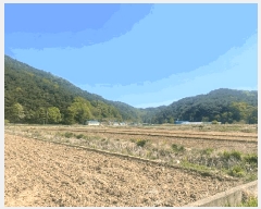  2025Ÿ��10216 ��� ������ ������ �а 1137      ����(��)���