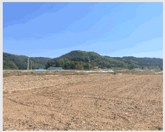  2025Ÿ��10216 ��� ������ ������ �а 1137      ����(��)���