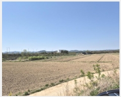  2025Ÿ��10216 ��� ������ ������ �а 1137      ����(��)���