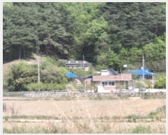  2025Ÿ��10216 ��� ������ ������ �а 1137      ����(��)���