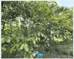  2025Ÿ��10218  �����