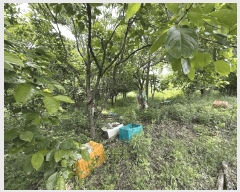  2025Ÿ��10218  �����