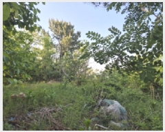  2025Ÿ��10218  �����