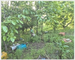  2025Ÿ��10218  �����