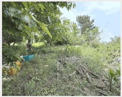  2025Ÿ��10218  �����