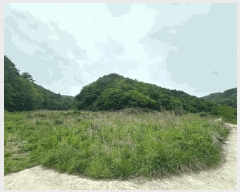  2025Ÿ��10228 ��� ���籺 û��� �� 836      ����(�Ӿ�)���