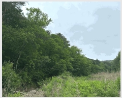  2025Ÿ��10228 ��� ���籺 û��� �� 836      ����(�Ӿ�)���