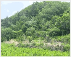  2025Ÿ��10228 ��� ���籺 û��� �� 836      ����(�Ӿ�)���