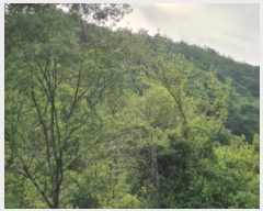  2025Ÿ��10228 ��� ���籺 û��� �� 836      ����(�Ӿ�)���