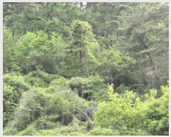  2025Ÿ��10228 ��� ���籺 û��� �� 836      ����(�Ӿ�)���