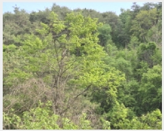  2025Ÿ��10228 ��� ���籺 û��� �� 836      ����(�Ӿ�)���