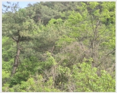  2025Ÿ��10228 ��� ���籺 û��� �� 836      ����(�Ӿ�)���