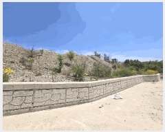  2025Ÿ��10250  �Ӿ߰��