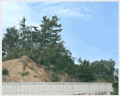  2025Ÿ��10252 ��� ������ ������ ������ 530-74      ����(�Ӿ�)���