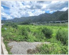  2025Ÿ��10272 ��� ������ ��ǰ�� ��� 126-2      ����(��1)���