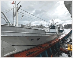  2025Ÿ10296     583      ڰ