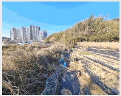  2025Ÿ��205  �Ӿ߰��