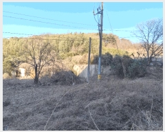  2025Ÿ��205  �Ӿ߰��