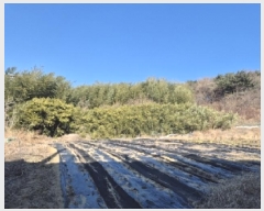  2025Ÿ��205  �Ӿ߰��