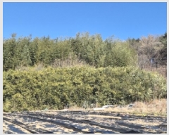  2025Ÿ��205  �Ӿ߰��