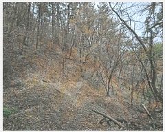  2025Ÿ251  ׽    148     (Ӿ)