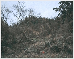  2025Ÿ251  ׽    148     (Ӿ)