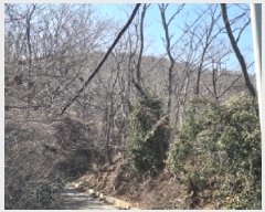  2025Ÿ251  ׽    148     (Ӿ)